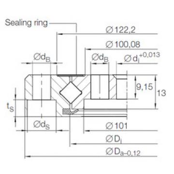  XU 06 0111 INA Slewing Bearing